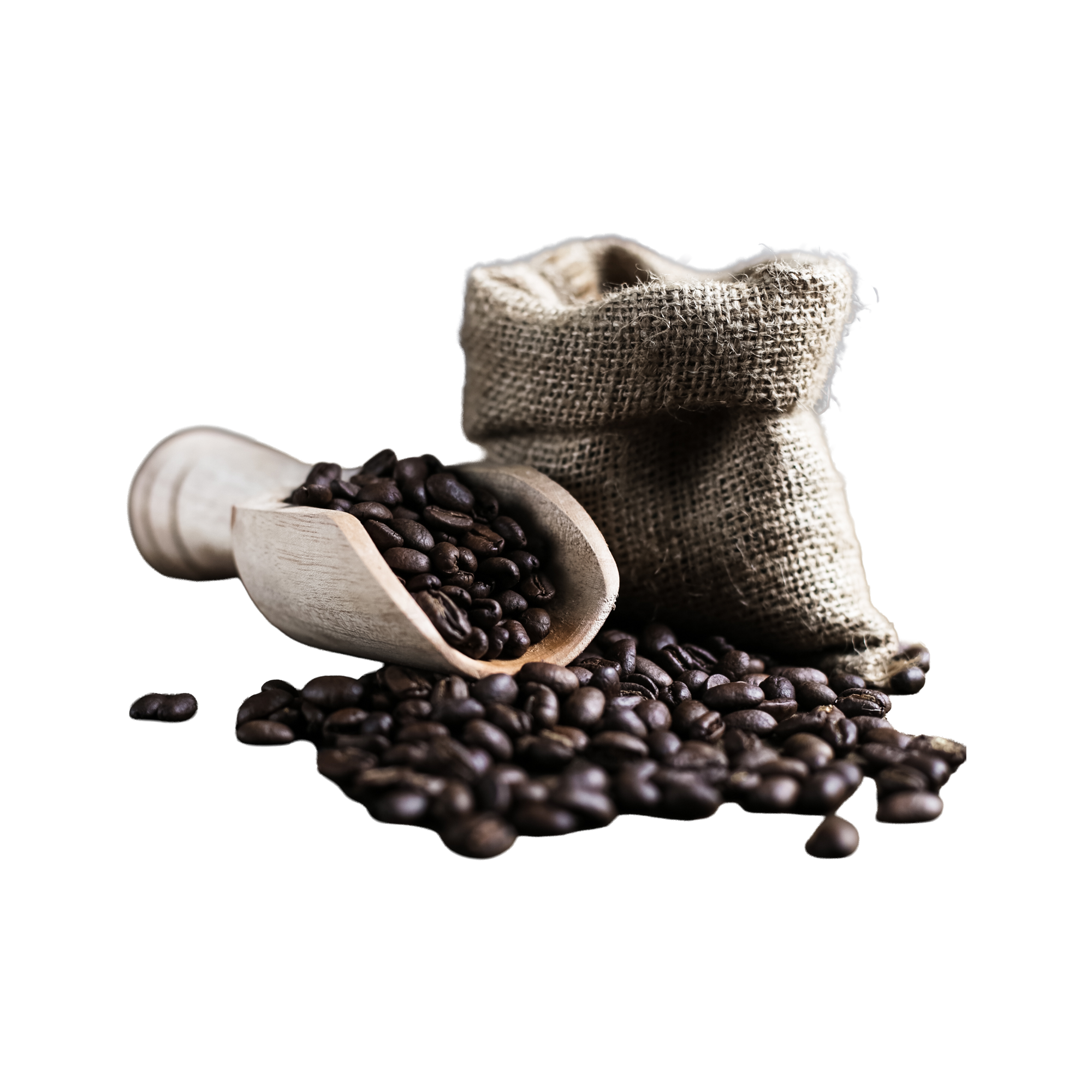 Café natural en grano y café descafeinado en grano